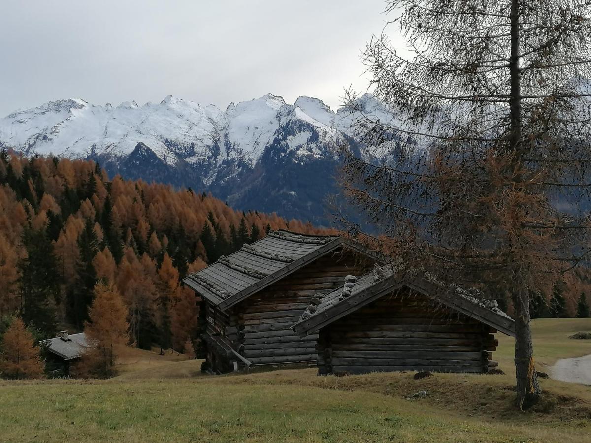 Dolomites B&B - Suites, Apartments And Spa Tesero Exterior photo