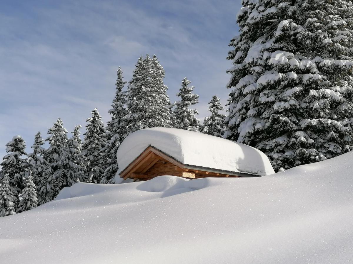 Dolomites B&B - Suites, Apartments And Spa Tesero Exterior photo