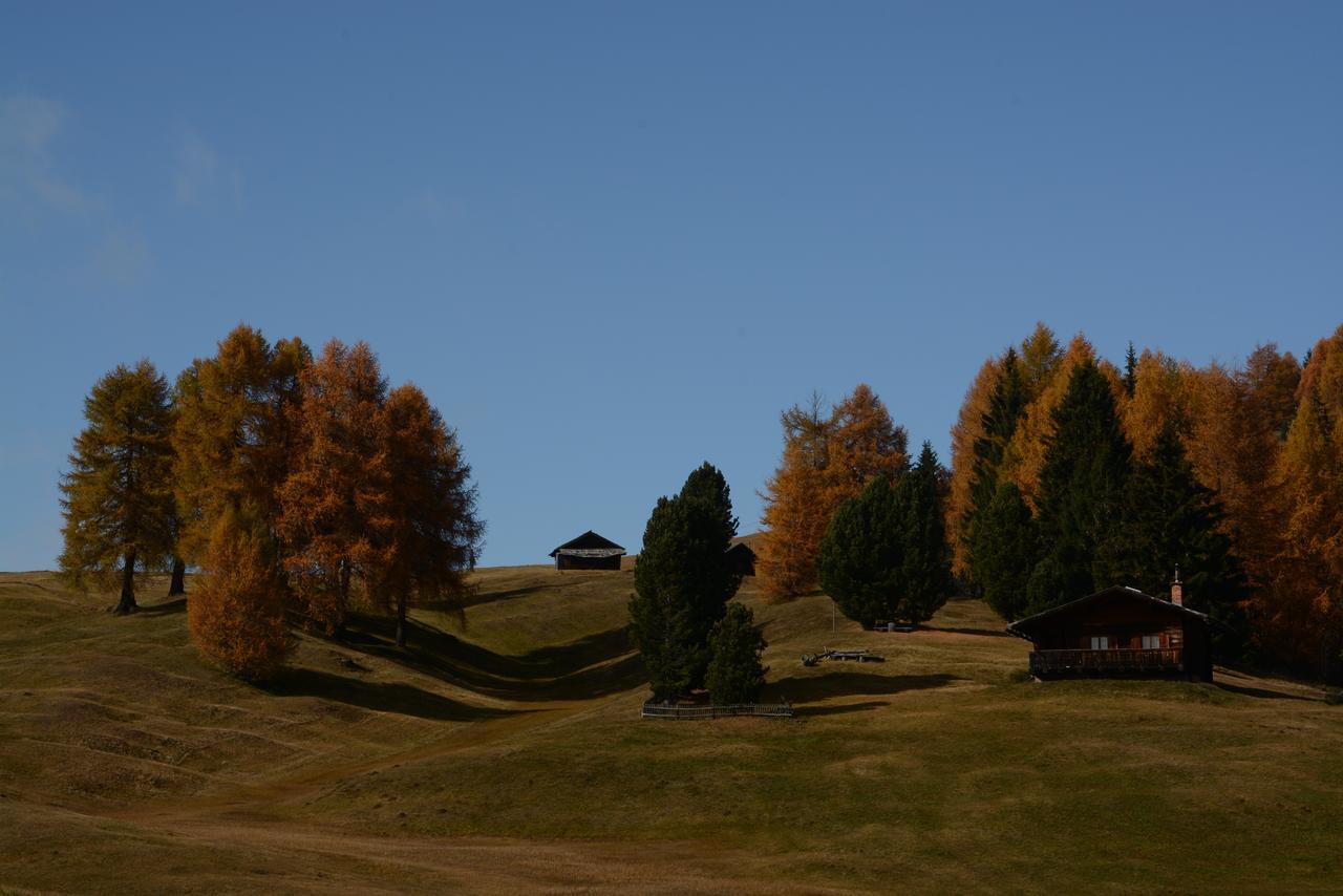 Dolomites B&B - Suites, Apartments And Spa Tesero Exterior photo
